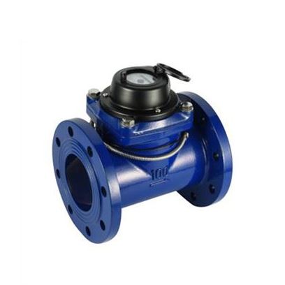 Remote Reading Woltman Water Meter